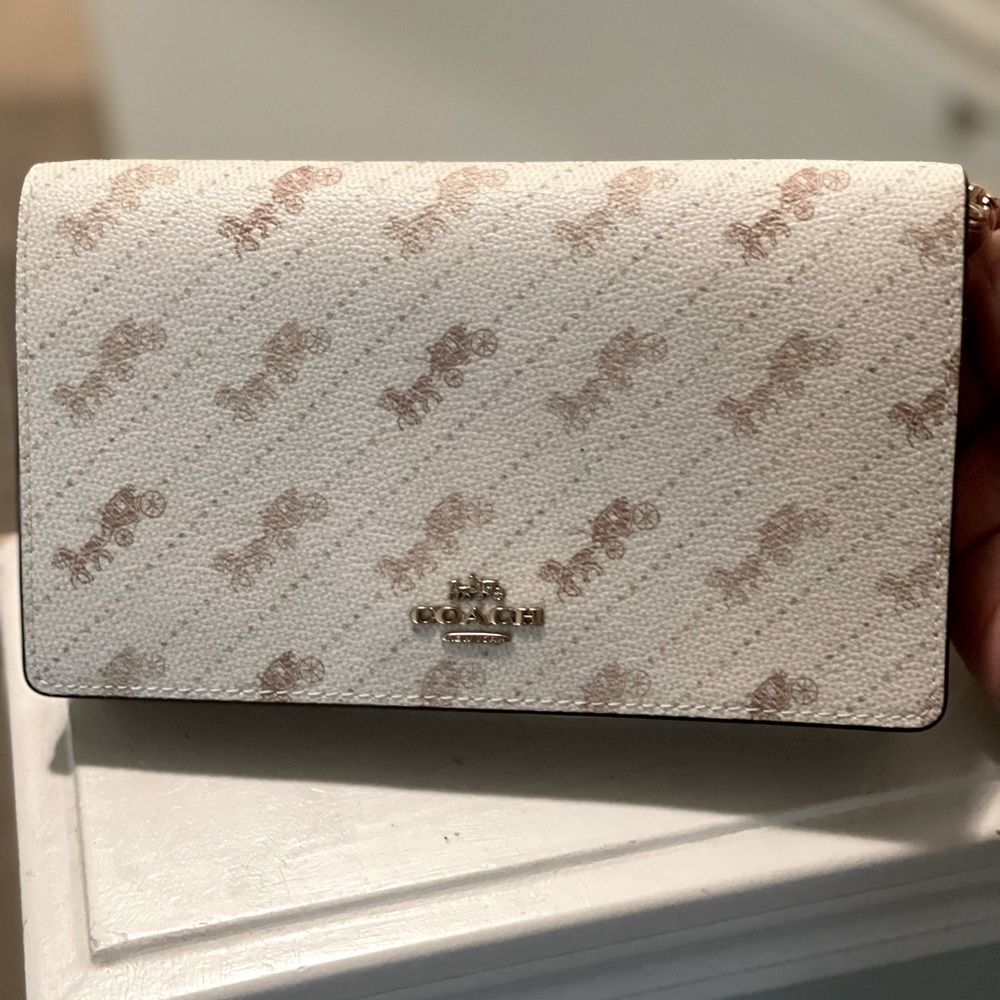 NWT Coach Anna crossbody clutch
